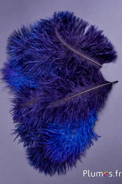 Struzzo barbules - 8-15 cm - rosso